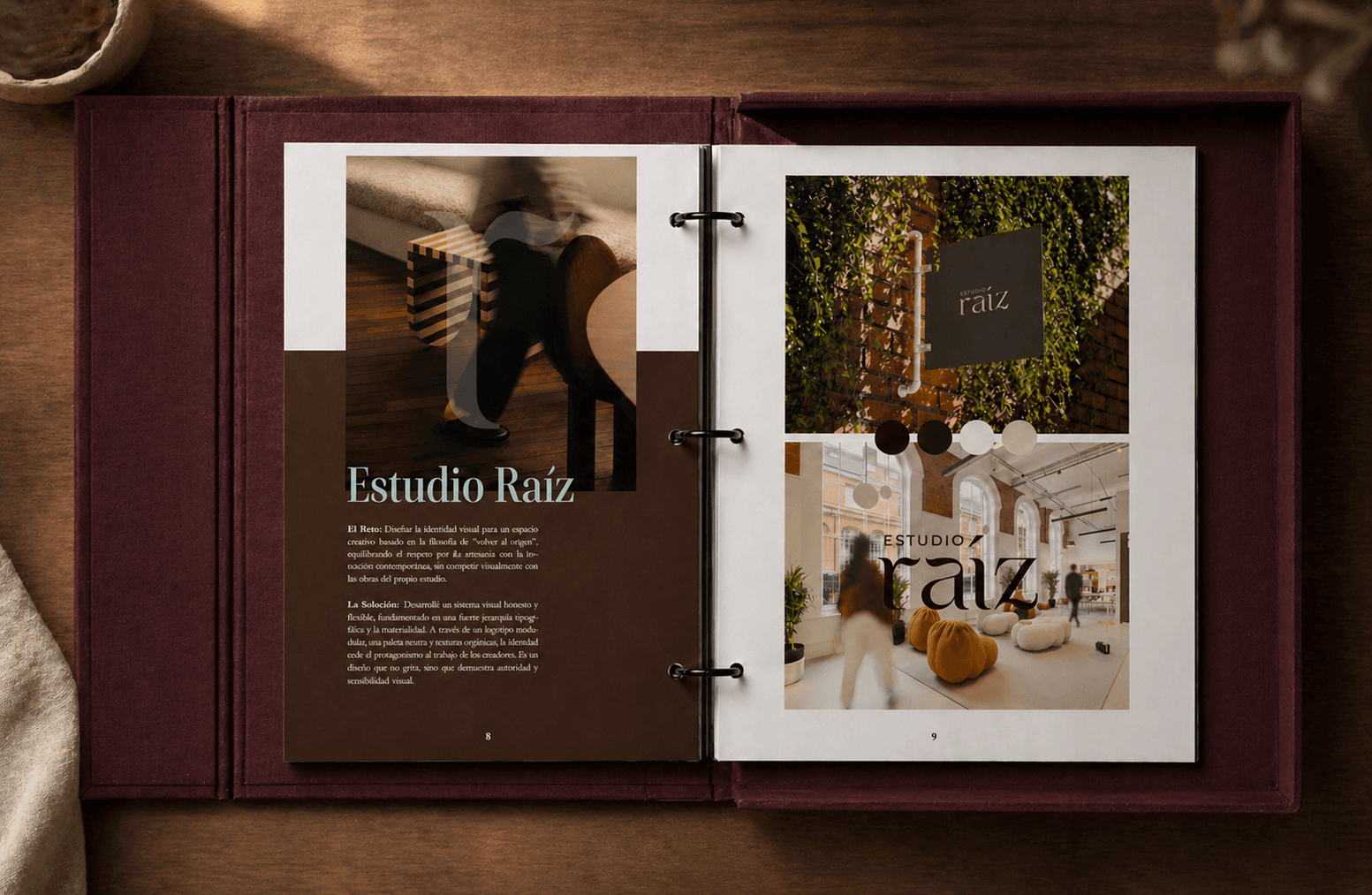 Portafolio gráfico